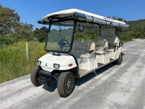 EV Buggies